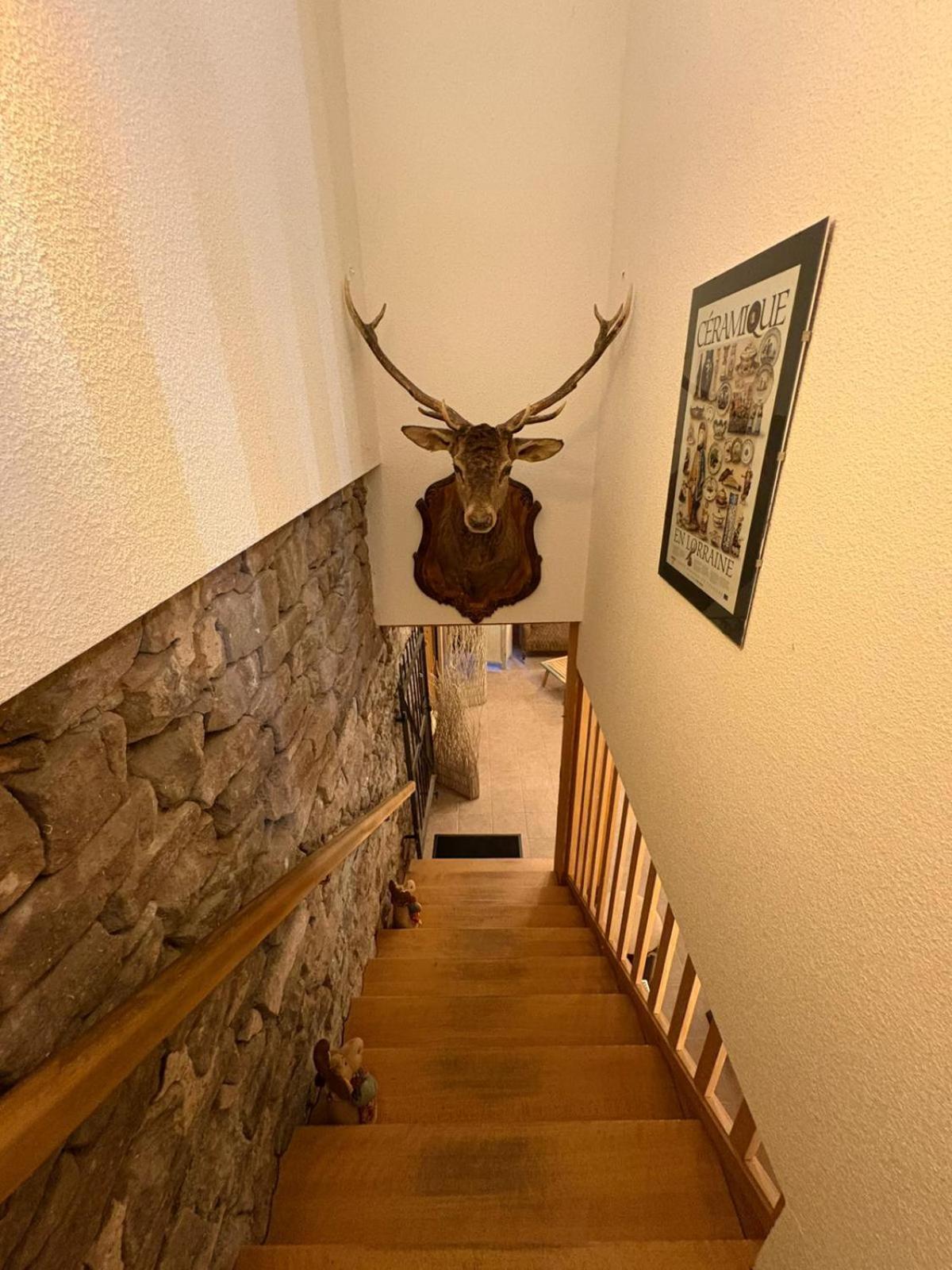 Auberge Du Ruxelier J&D Cheniménil Екстериор снимка